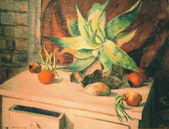 Aloe, Still Life by Shirley Russell (1886-1985)