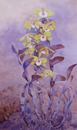 Gold Star Orchids by John Thomas (1927-2001)
