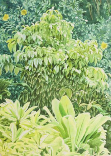 Honolulu Gardens by Robert Benjamin Norris (1910-2006)