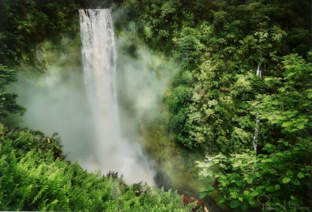 Akaka Falls Torrent by Thomas (Tom) Upton