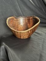 Nested Curly Koa_#490_HWG 2024 by Tom O'Connor