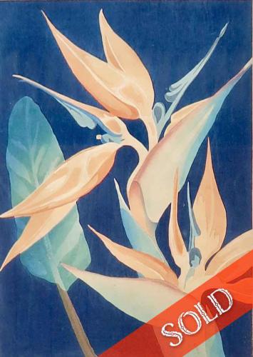Bird of Paradise by Shirley Russell (1886-1985)