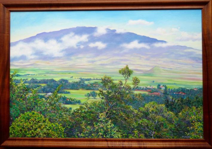 Waimea Landscape by Dennis Morton