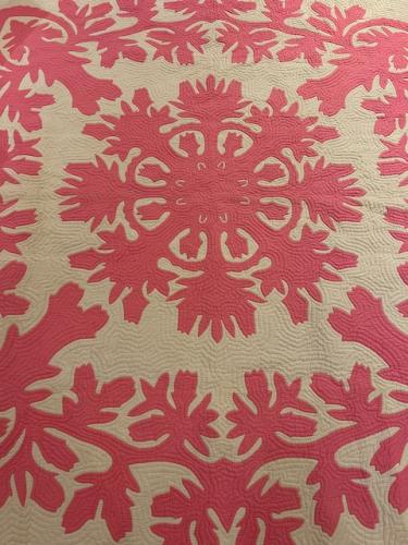 Lakelani (Rose) Hawaiian Quilt by Unknown Unknown