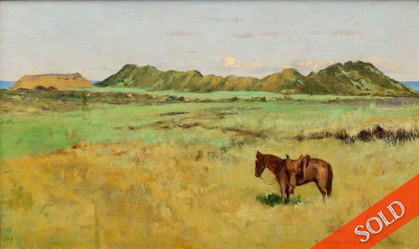 Puna Landscape by David Howard Hitchcock (1861-1943)