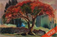 Poinciana Tree by Robert Benjamin Norris (1910-2006)