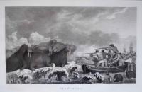 Sea Horses by John Webber (1752-1793)