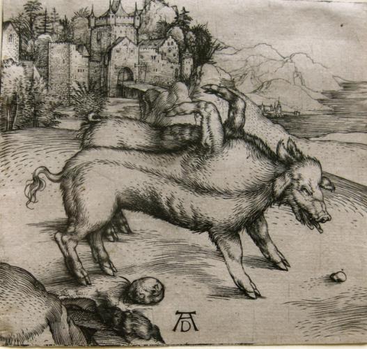 The Monstrous Pig of Landser by Albrecht Durer (1471-1528)