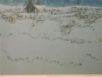 Sea Series: Tide Line  2/25 by Louis Pohl (1915-1999)