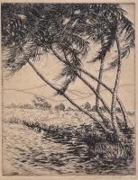 Oahu Coastline by Amelia Coats (1877-1967)