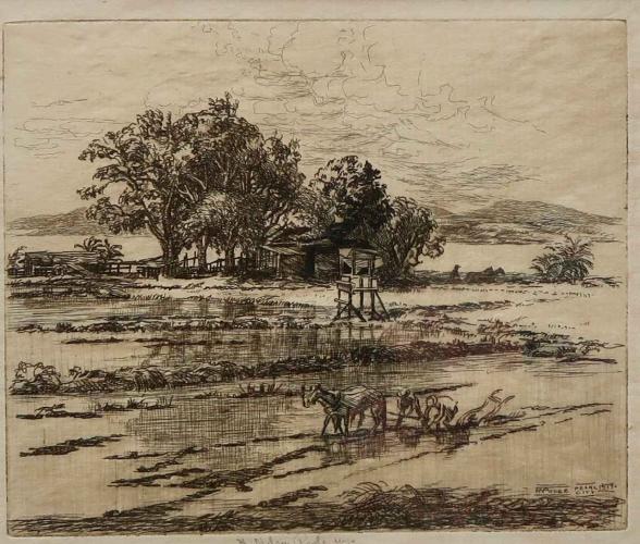 Hawaiian Rice Field by Horatio Nelson Poole (1884-1949)