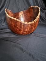 Nested Curly Koa_#488_HWG 2024 by Tom O'Connor