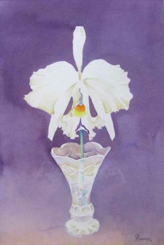 White Cattleya in Crystal Vase by John Thomas (1927-2001)