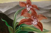 Wine Orchids by Margaret Fleming Waldron (1910-1992)