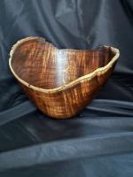 Nested Curly Koa_#489_HWG 2024 by Tom O'Connor
