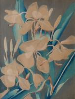 White Ginger by Shirley Russell (1886-1985)