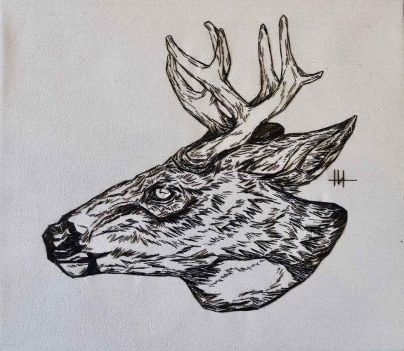 Whitetail Deer Head by Haley Hagerman '10